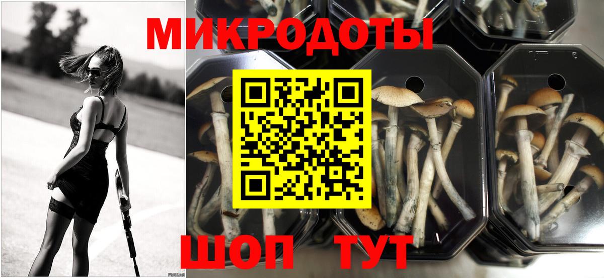 Псилоцибиновые грибы Psilocybe  купить  сайты  Менделеевск  Галлюциногенные грибы прущие грибы  Вход с VPN 