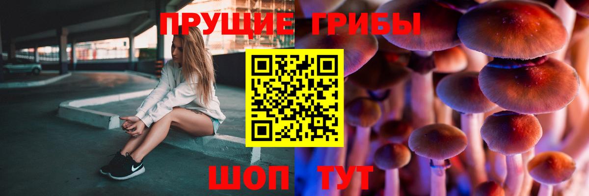 Псилоцибиновые грибы Magic Shrooms Менделеевск